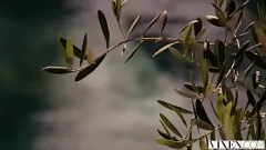 Oynat Aldatan Sarışın Chloe Scott'ın Eski Erkek Arkadaşıyla X-Rated Tatili